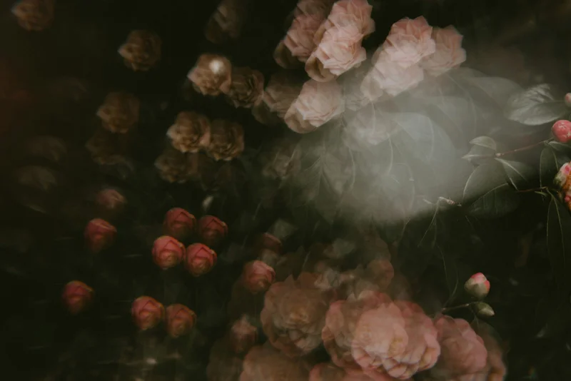 Тёмно-зелёный фон с названием бренда